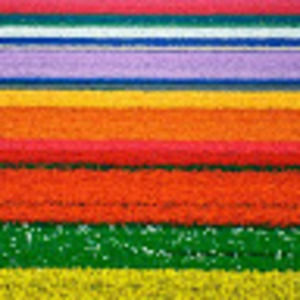 Meet your Posher, Aliya